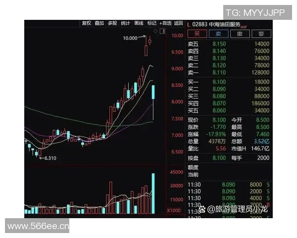 中时新闻网：全台股市震荡走低 投资者如何应对市场波动风险